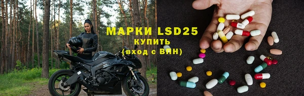 гашик Мегион