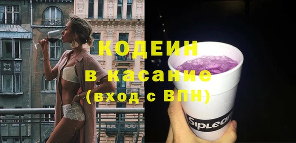 гашик Мегион