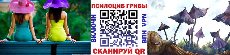 Псилоцибиновые грибы GOLDEN TEACHER KRAKEN как войти Кстово