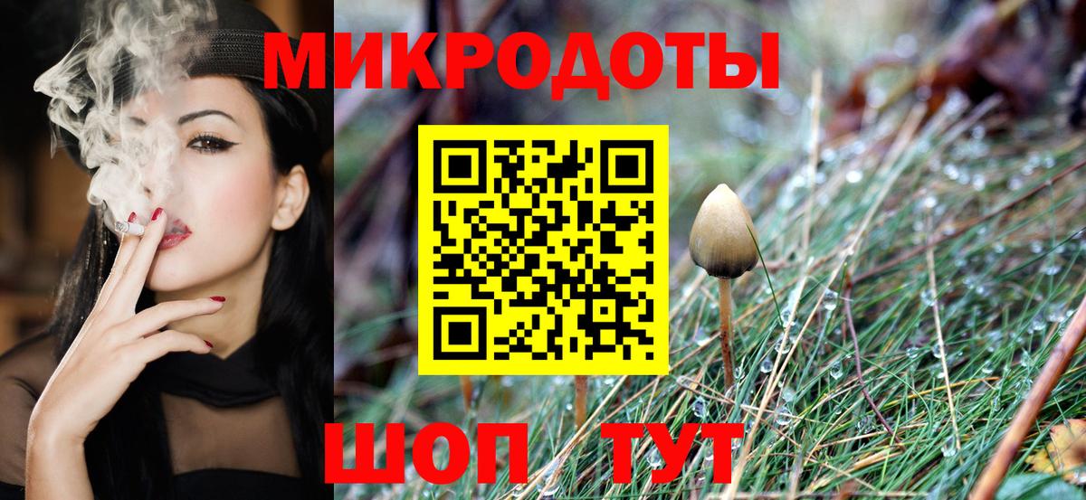 Псилоцибиновые грибы Cubensis  Галлюциногенные грибы мицелий  Вход с VPN  Кстово 