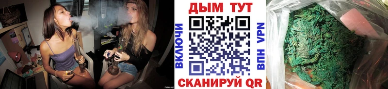 Канабис конопля  Кстово 